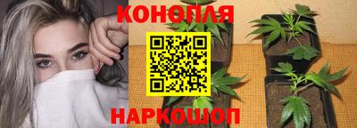 мдпв Железногорск