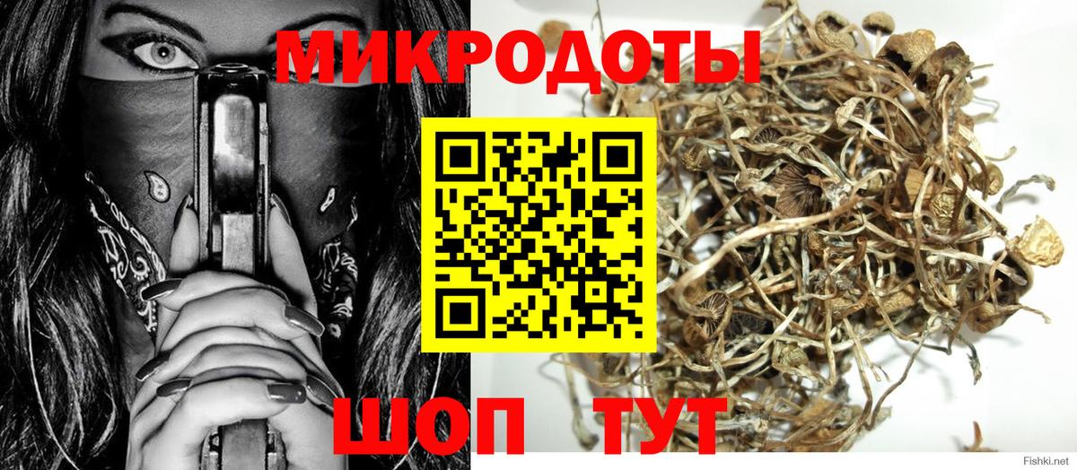 Псилоцибиновые грибы прущие грибы Шадринск