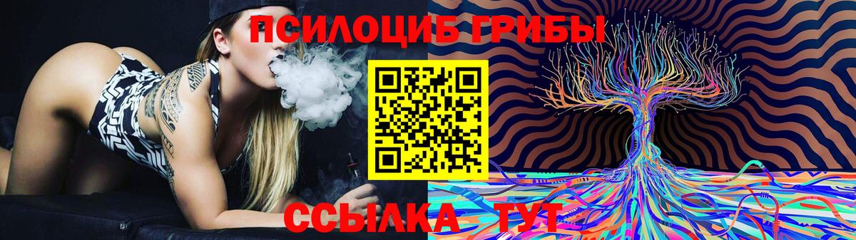 Шадринск  цена   Вход с VPN  Псилоцибиновые грибы Cubensis 